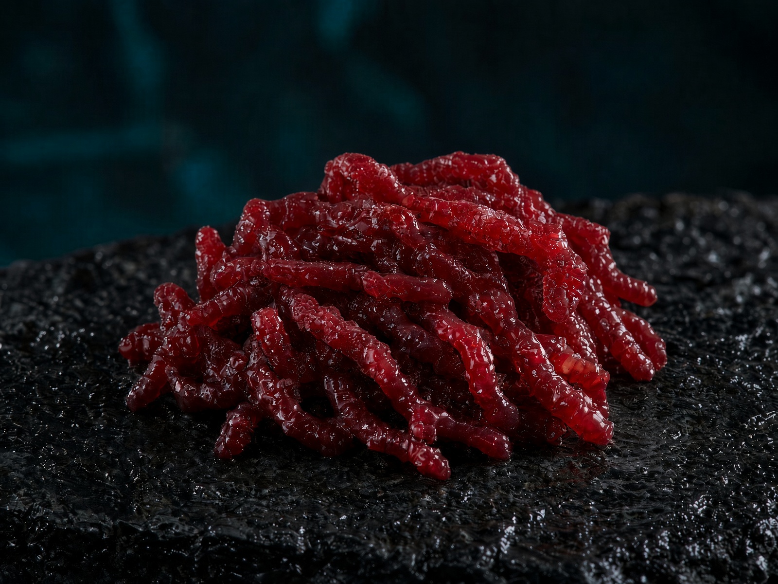 Bloodworms
